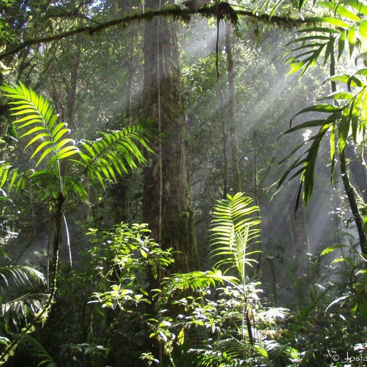 Warwick School - Fraser heads to the Honduran Rainforest